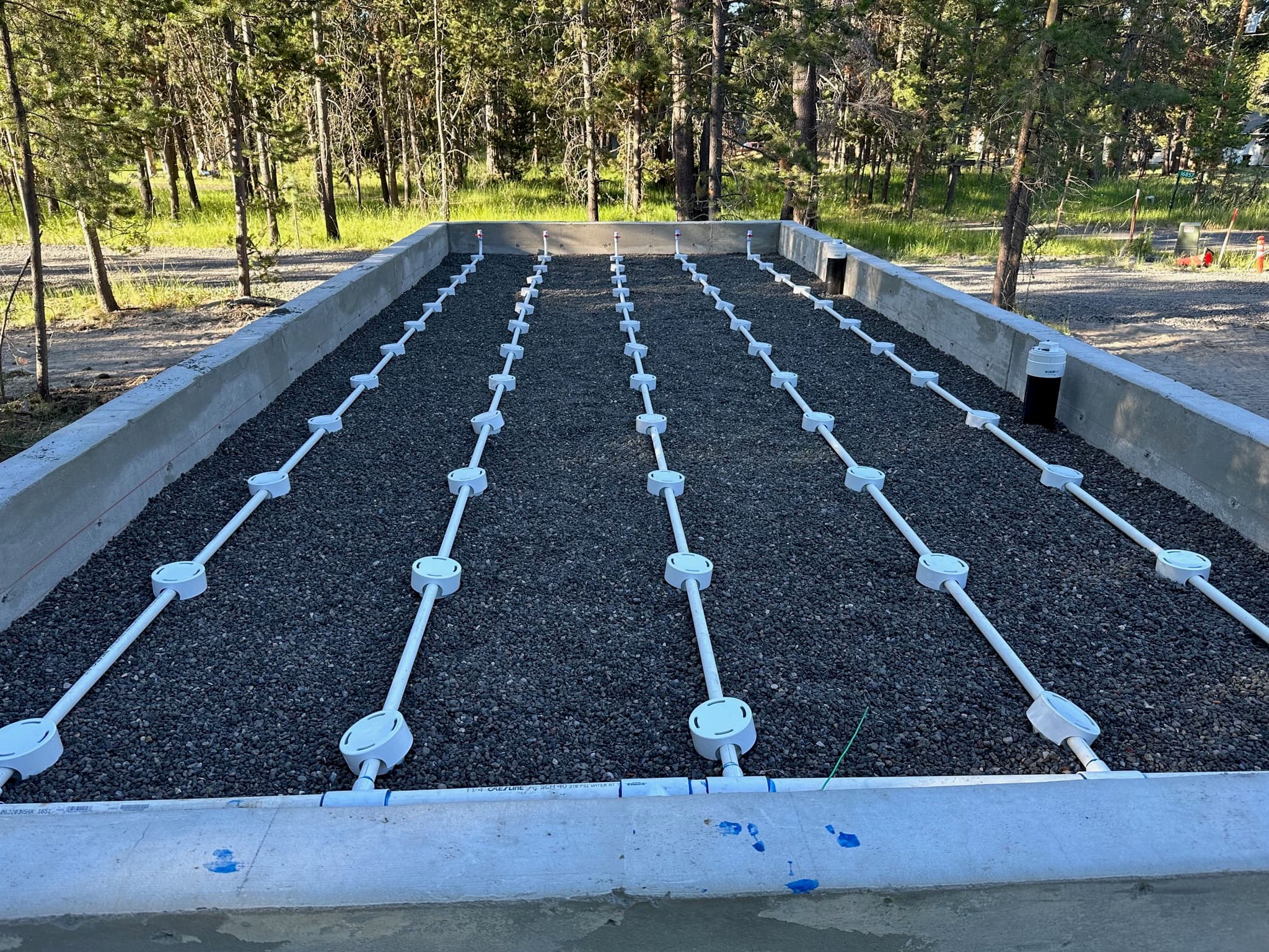 Septic Care Plans